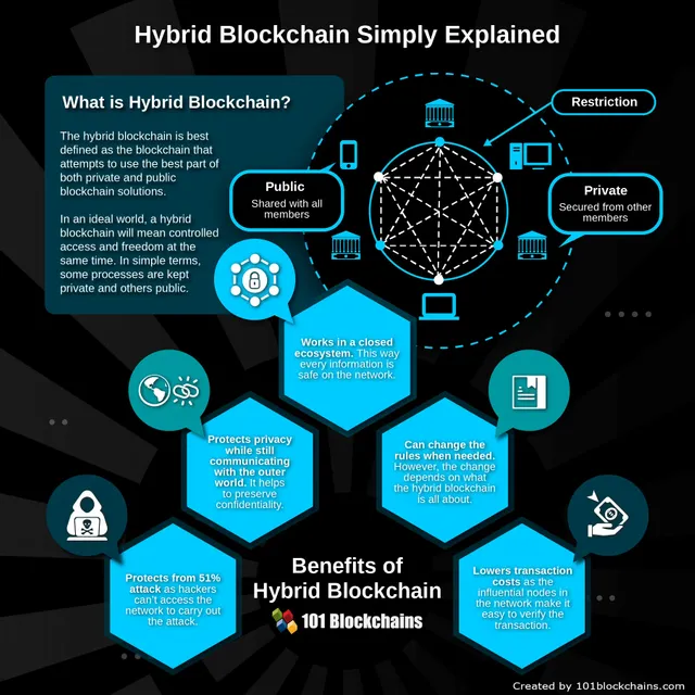 Hybrid_Blockchain.webp