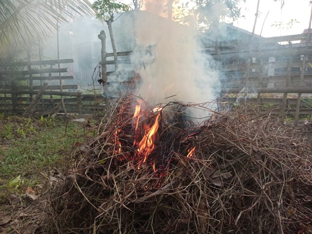 IMG20250426181214.jpg