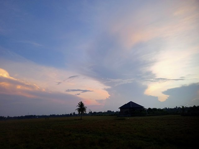 IMG20250822062334.jpg