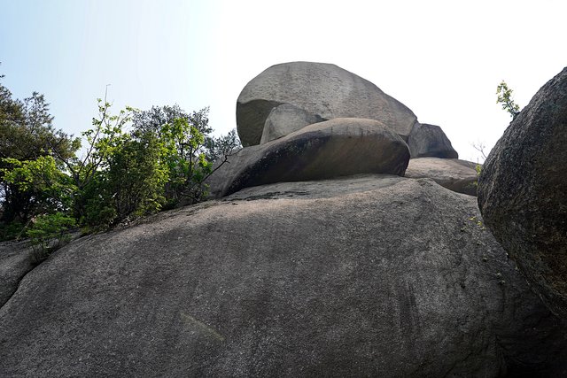b-DSC02465.JPG