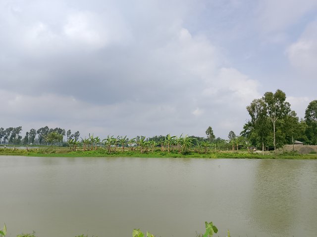 1000046180.jpg