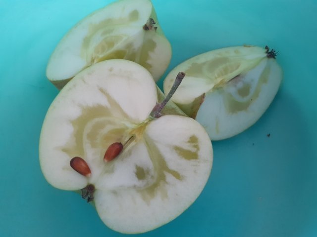 20190913_112856.jpg