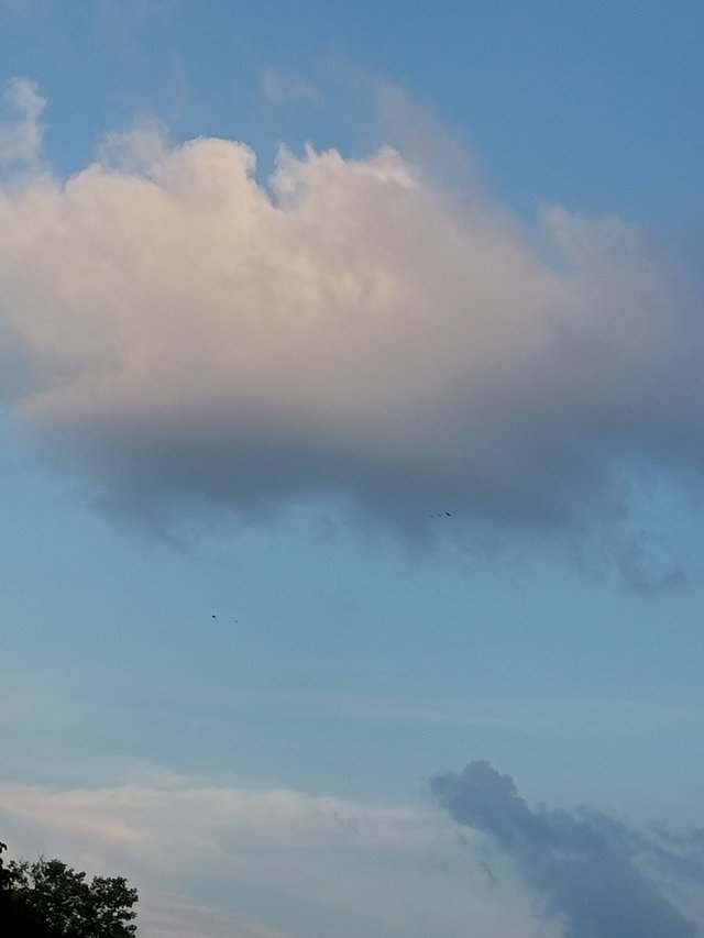 IMG20250817174958.jpg