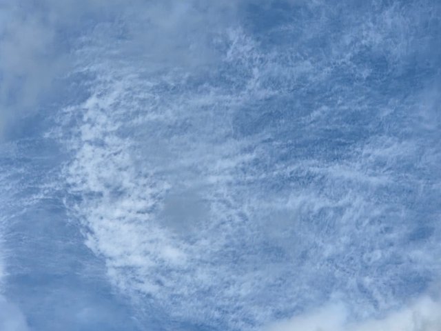1000015478.jpg