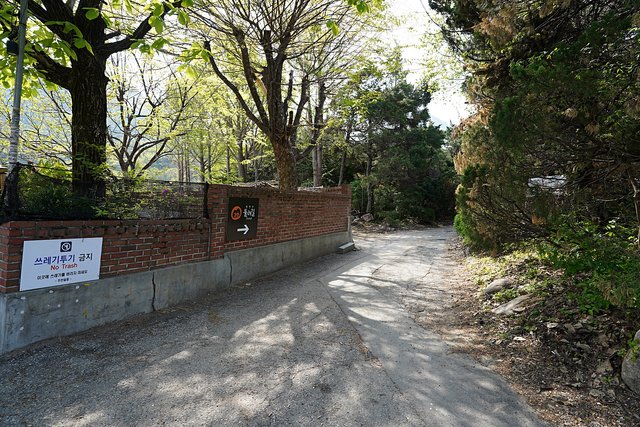 DSC08102.JPG
