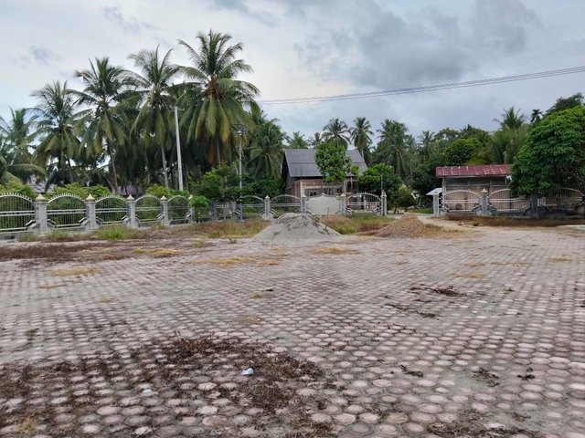 11400.jpg