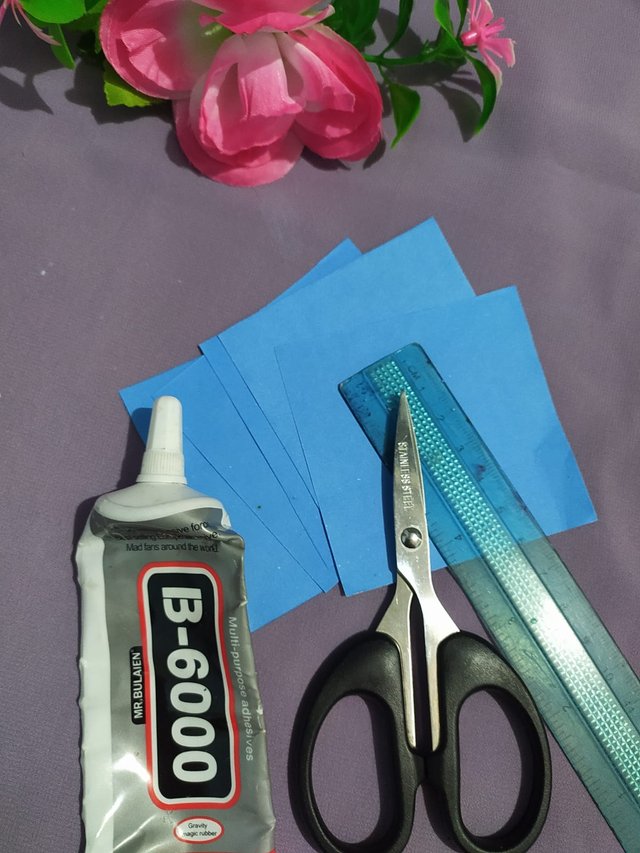 1000016092.jpg