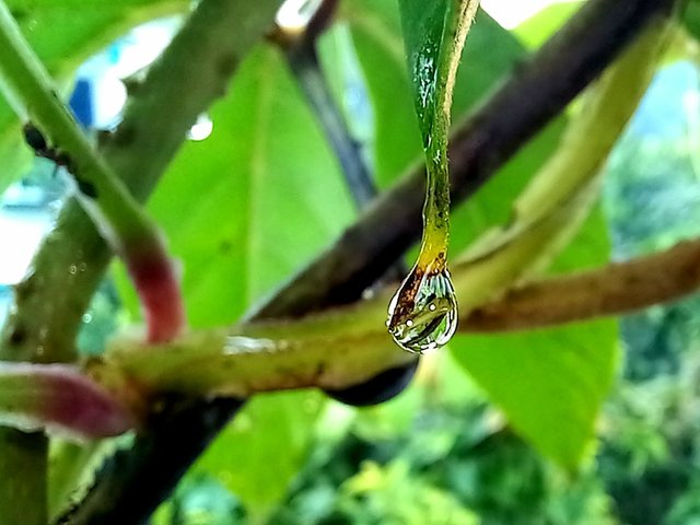 20250715_114820.jpg