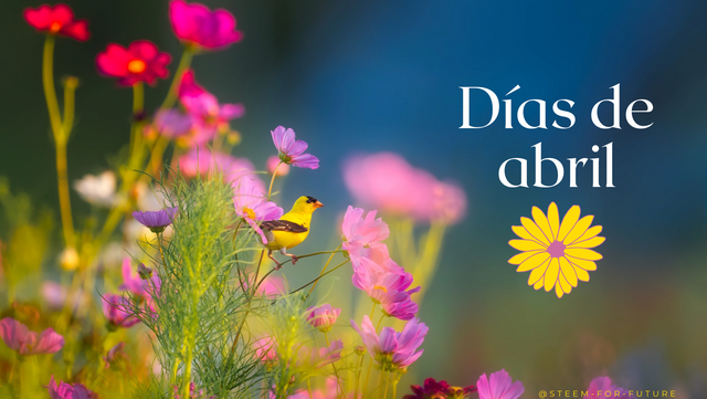 Pink Yellow Blue Green Photocentric Bird Flower Spring Facebook Covers_20240331_132246_0000.png