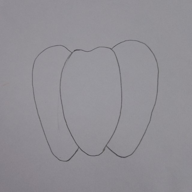 1000083901.jpg