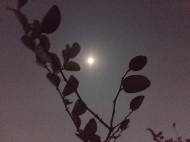 IMG20250213215459.jpg