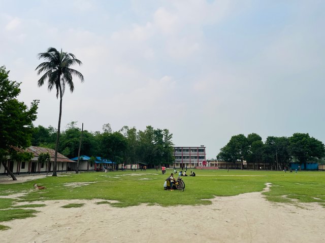 IMG_1263.jpeg
