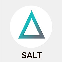 SALT-Logo