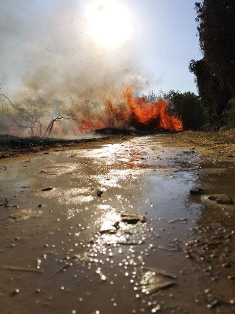 пожар Ларнака май 2020 (3).jpg