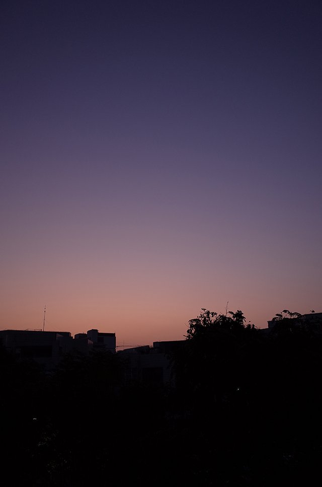 sunset.jpg