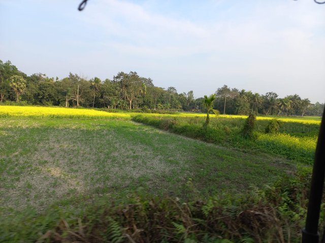 IMG-20250521-WA0036.jpg