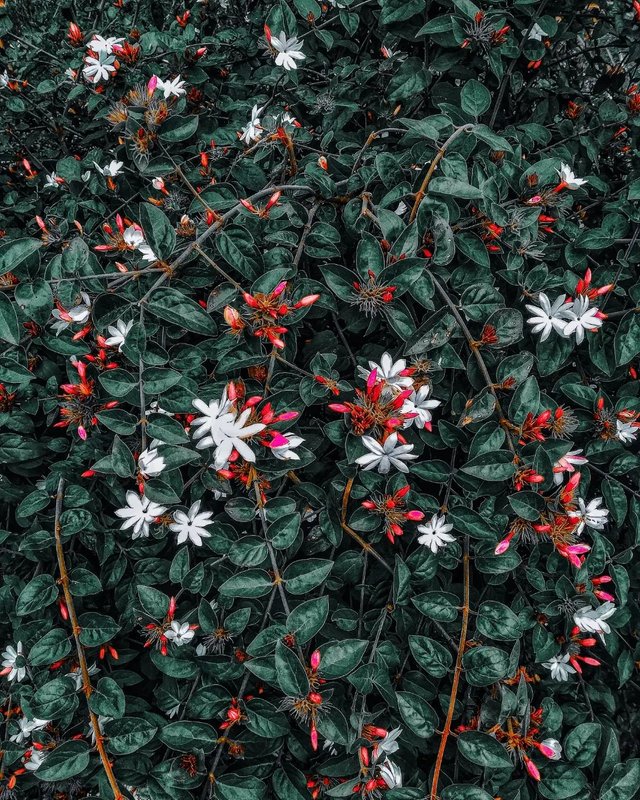 273160984_1171540973383795_862870608700279283_n.webp (1).jpg