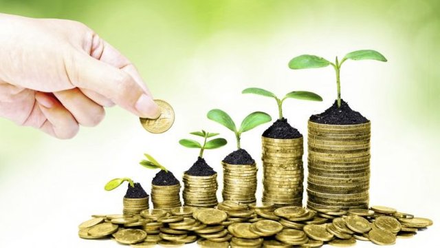 trees-growing-on-coins-678x381.jpg