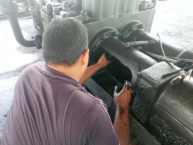 IMG_20250502_123239_032.jpg