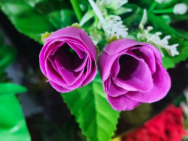 1000156714.jpg