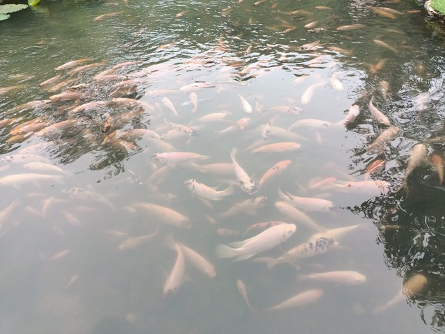 IMG20250603123753.jpg