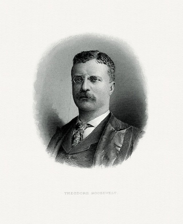 ROOSEVELT,_Theodore-President_(BEP_engraved_portrait).jpg