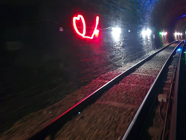 1000015142.jpg