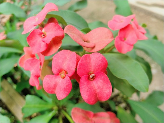 IMG20250321143105.jpg