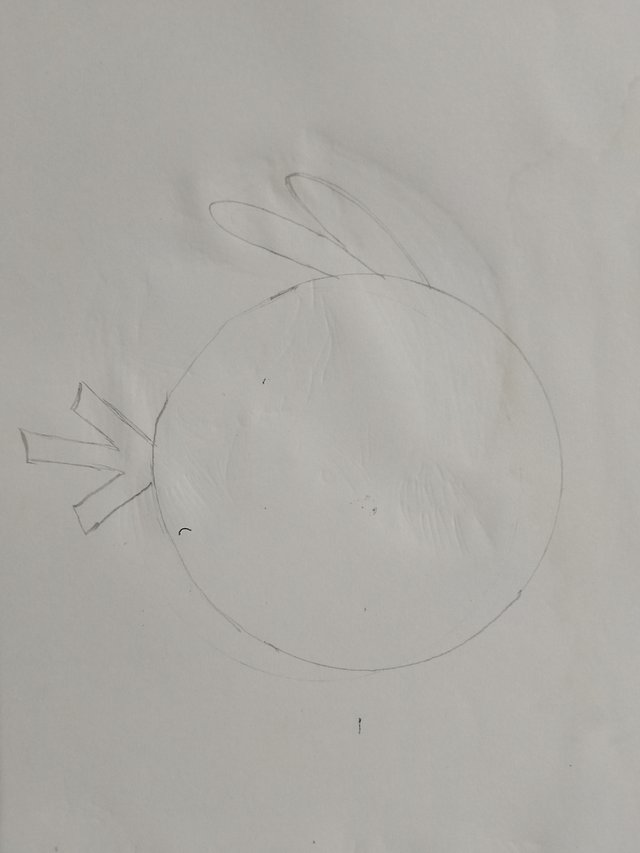 1758570586556.jpg
