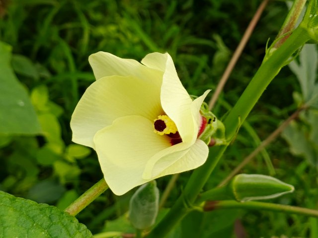 IMG_20250606_075450_402.jpg