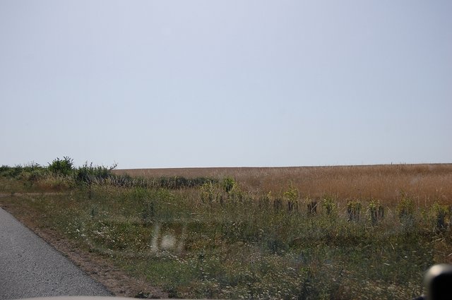 k-DSC_0047.JPG