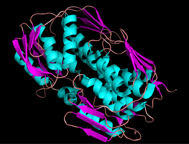 EPSP_synthase_cartoon.png