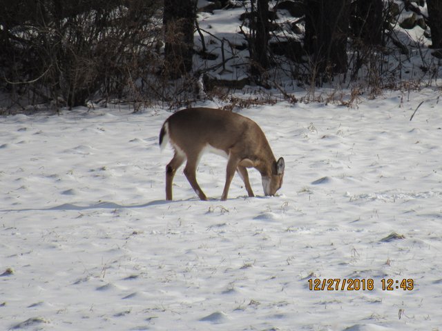 IMG_0173.JPG