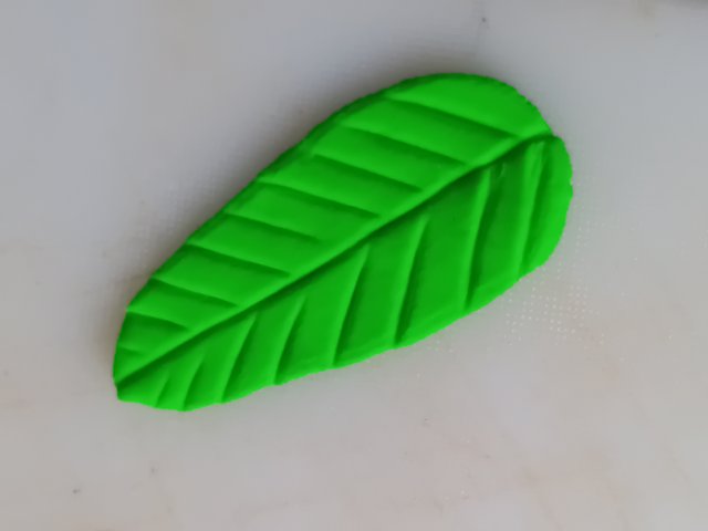 1000051518.jpg