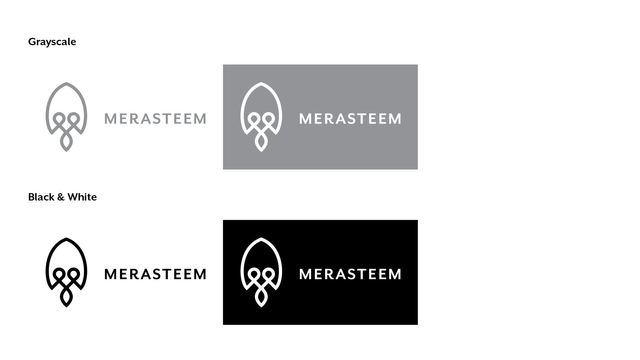merasteem_logo_post_variations_03.png