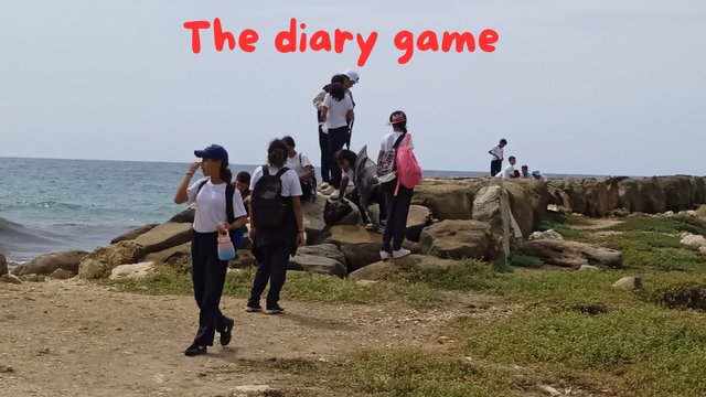 The diary game (10).jpg