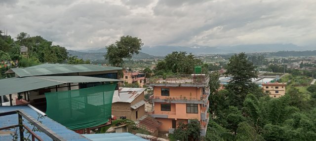 20250808_165514.jpg