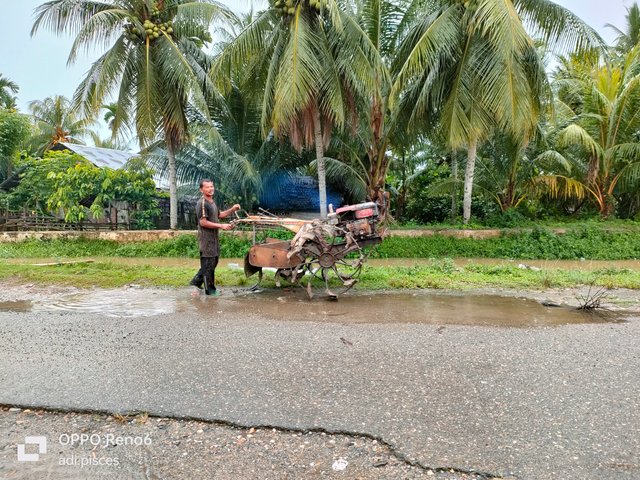 IMG20250616100243.jpg