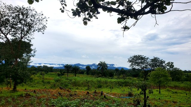 20250916_120922.jpg