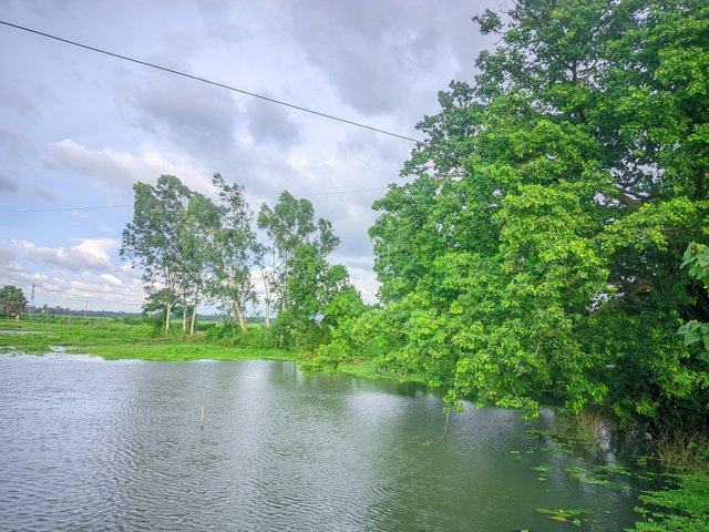 20250725_175849.jpg