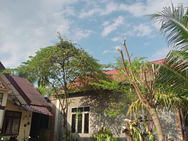 IMG20250724164112.jpg