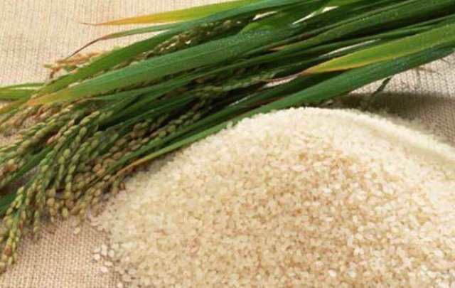 junio-25-arroz-Nayarit-copia.jpg