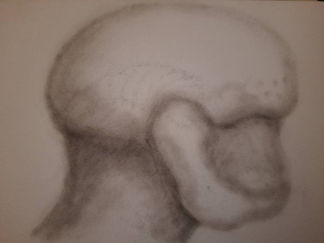 20250818_105854.jpg
