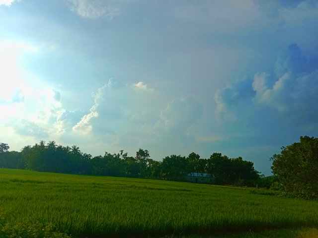IMG_20250912_162841.jpg