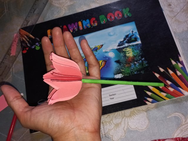 20250424_120154.jpg