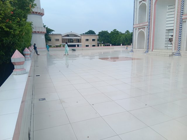 1000038643.jpg