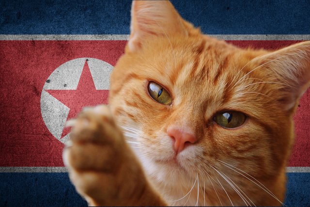 kim kitty better.jpg