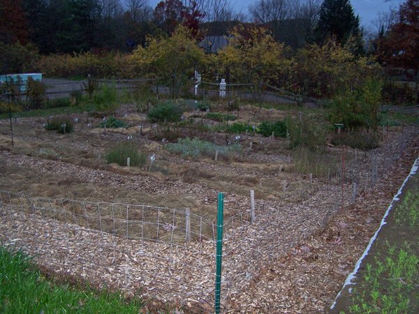 New Herb garden at dusk crop October 2019.jpg