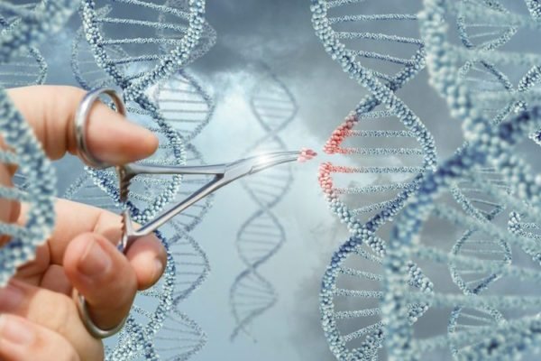 Gene-Editing-e1523126008345.jpg