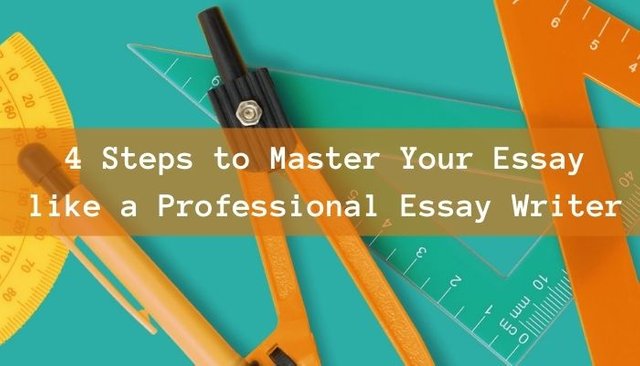 4 Steps to Master Your Essay like a Professional Essay Writer.jpg